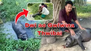 Oma Bima aa Dwiyao gwlwina Thwibaisw 🥲 loss lo loss