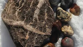 Should We Cut This Michigan  Rock? | Rock Collecting | Inside Rocks