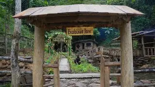 Off-grid life in the deep forest. Making wooden bathtubs, caring for pets and farming.