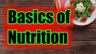 Basics of Nutrition 2020 - Healthy Diet Magic