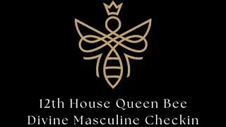 Divine Masculine Energy checkin. You are mirroring your feminine! Get into gratitude wise leader!