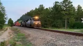 NS 21D Intermodal rushing up the SC-Line through Gadsden, SC