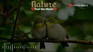 Nature sound instrumental music  ringtone download | status mover ||