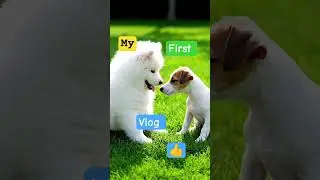 My First Vlog ❤️ #love #trending #viral #cute #dogowner #petowner #subcribe #ytshorts #youtube #vlog