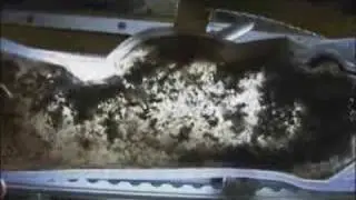 Ep.19b Particle agglomerates in microgravity