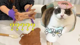고양이와 함께 만드는 두쫀쿠... 인데 이게 맞아요?