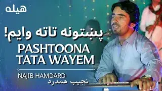 Najib Hamdard - Pakhtoona Ta ta Wayem 🎶 | official new Song | نجیب همدرد | پښتونه تا ته وایم