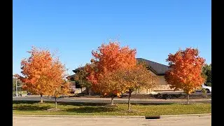 Wisconsin Fall colors and a drive to Port Washington