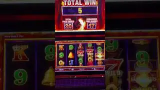 #slot #gambler #casinogame #gamegambler #slotmachine #dog #jackpot #gambleslotonline #casinogames
