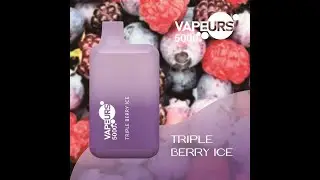 2022: The Vapeurs 5000 Disposable E-Cigarette