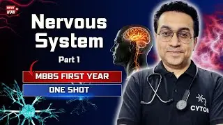Nervous System | Part 1 | MBBS First Year | Foundation of Neuroanatomy