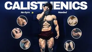 Calisthenics Full Roadmap - Beginner to Pro (No Gym Needed)