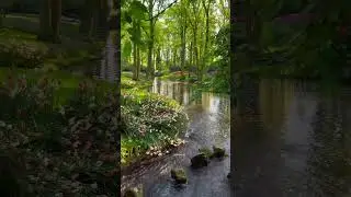 Nice view #india #viral #shortsvideo #viralshorts #trending #villagelife homestead