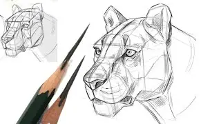Easy Lion Drawing for beginners | Step by Step Lion Sketch | Simple Animal Drawing Tutorial |