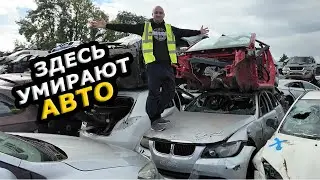 Мы поехали по авторазборкам Ирландии 🚗