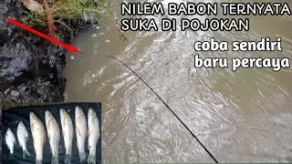 NUTUL NILEM BABON ARUS DERAS BEROTANYA BIKIN KETAGIHAN