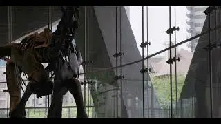 Integrated Glass Fa&ccedil;ades at Perot Museum | Atrium & Escalator | Novum