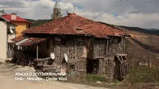 Ordu Mesudiye Çavdar Köyü  Belgeseli (#Benimmemleketim)