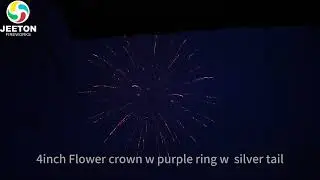 DS040119 4inch Flower crown w purple ring w  silver tail