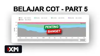 Cara Membaca Laporan Data COT Commitment of Traders