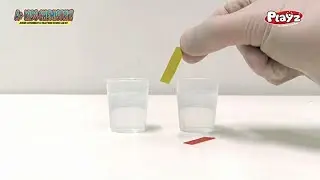 Playz STEM A+ Kids Chemistry Junior Experiments & Reactions Science Lab Kit - 32+ Experiments