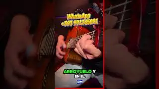 Aprende Ritmo Albazo Avecilla Tutorial Guitarra