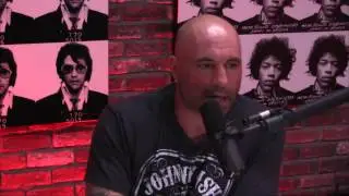 Joe Rogan on Ronda Rousey | Sep 2015