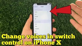 How to change voices in switch control on iPhone X