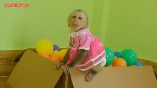 Tiny Baby Nina Playing Ball And Studying Jump Back With Cute Monkey Luna