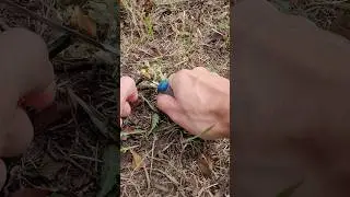 Rocktrail Outdoor Messer mit Feuerstahl   #shortvideo #rocktrail #outdoorgear #outdoormesser