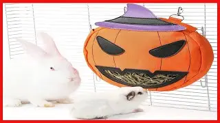 JanYoo Rabbit Hay Feeder Halloween Guinea Pig Accessories Hay Bag Hanging Rack for Small Animal