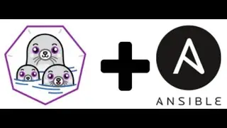 Using podman to run tools without installing them (ansible for example).