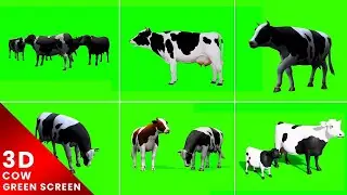3D Cow Green Screen For Editing Free