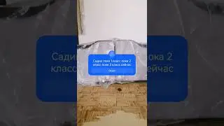 22 июля 2024 г.