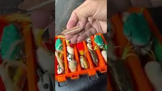 Nh&agrave; ngh&egrave;o nhưng đam m&ecirc; lure  Con mồi T&ocirc;ng L&agrave;o
