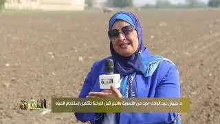 فى برنامج  الثمرة شاهد  طرق ومميزات زراعة القمح على مصاطب وفوائد الحملة القومية للمحصول
