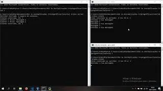 Aplicacoes Criptograficas Tutorial 1 (Mensagens Socket Multi-thread - JAVA) DEMO