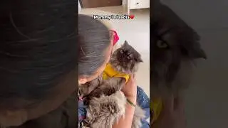 Mai acha beta hoon😄#soju #baby #love #mom #newshorts #trending 🥰