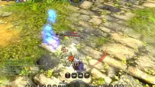 PVP Dragon Nest Hodson (Acrobat) vs BBruce (Paladin)