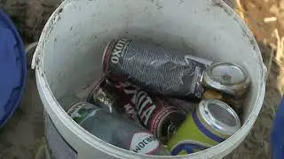 Городской молодежный экоквест 