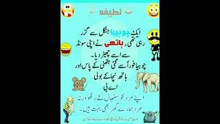 Aaj Ka Latifa | Very Funny Jokes in Urdu & Hindi#shorts#latifa#youtubeshorts