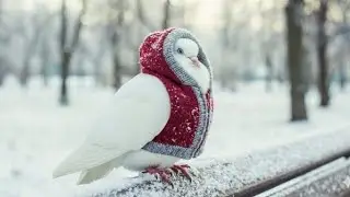 ਲੱਡੂ ਖੁਖਰਾਣਾ ਨਾਲ ਬਾਪੂ ਜੀ ❤️🕊️
