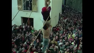 El pino de Pollença