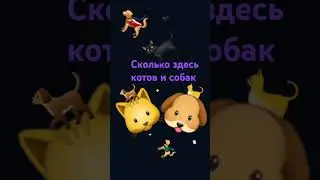 Сколько здесь котов и собак ( #subscribe #cats #dogs #shark #shorts )