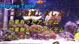 【エコで楽しもう海水魚80】コケを減らすアイテムは色々試しました。今回、初めて効果が実感出来るアイテム見つけました。