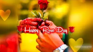 Happy Rose Day Status 2026🌹|| Rose Day WhatsApp Status 🌹||