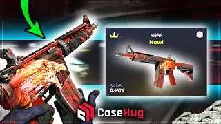 CASEHUG CRUCIAL CASE BATTLE WITH HOWL CASEI! Casehug Promo Code 2025