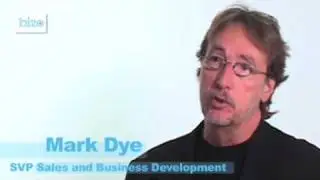 Defining Bizographics