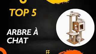 TOP 5 Meilleur Arbre &Agrave; Chat 2025 - Les Arbre &Agrave; Chat Mod&egrave;les