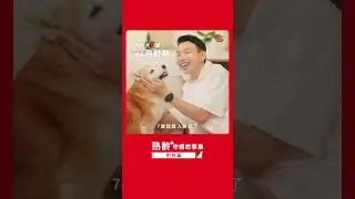 【熟齡守護故事集】狗狗篇 feat.柴犬Nana和阿楞的一天｜法國皇家